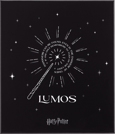 Moleskine Bundle in edizione limitata Wizarding World di Harry PotterSet regalo con penna roller Kaweco e taccuino Pezzi Unici