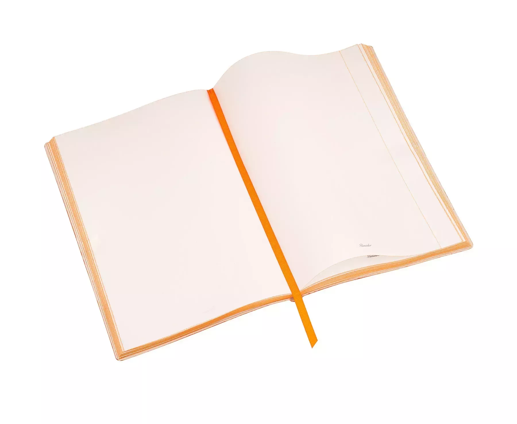 Pineider PineiderXColony Notebook Papaveri Promozione